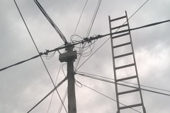 Sujeción del tendido eléctrico1
